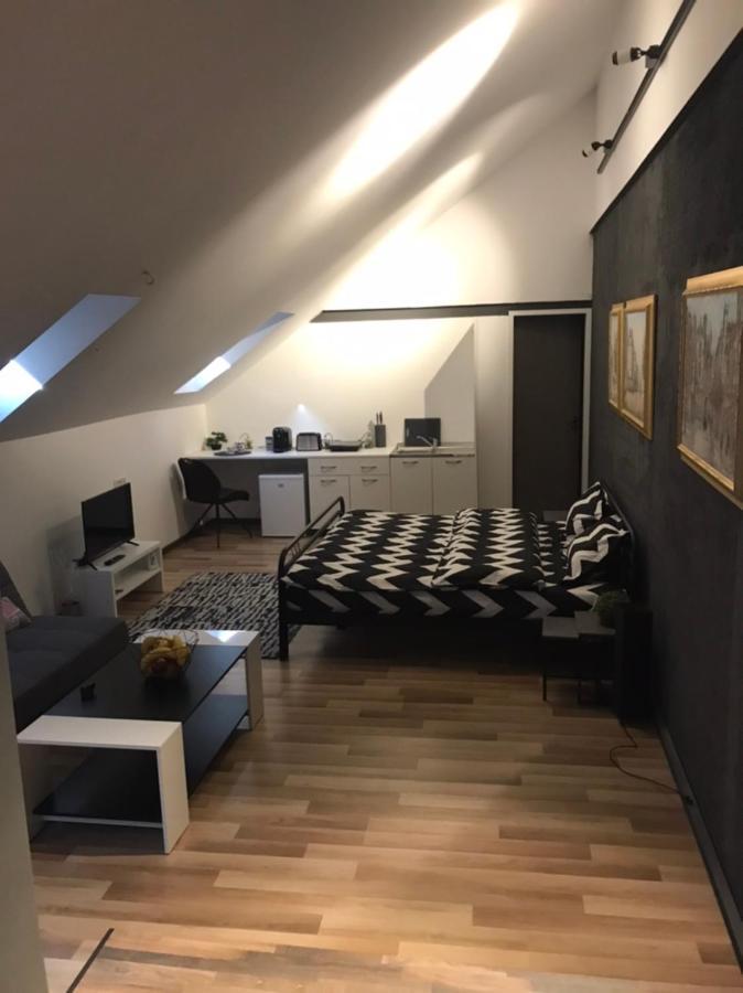 Apartment Savoya Nr3 Old Center Self Check-in Timisoara