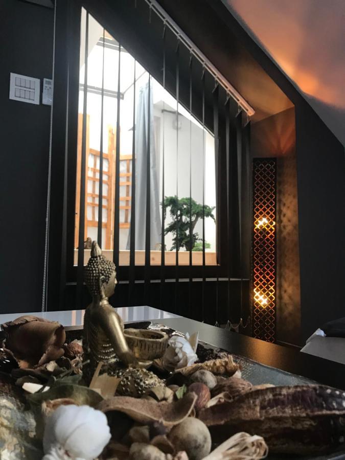Savoya Nr3 Old Center Self Check-in Apartment Timisoara